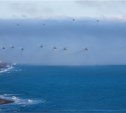 На полигонах учений «Восток-2014» высадился экологический десант