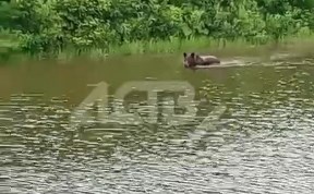 Общество