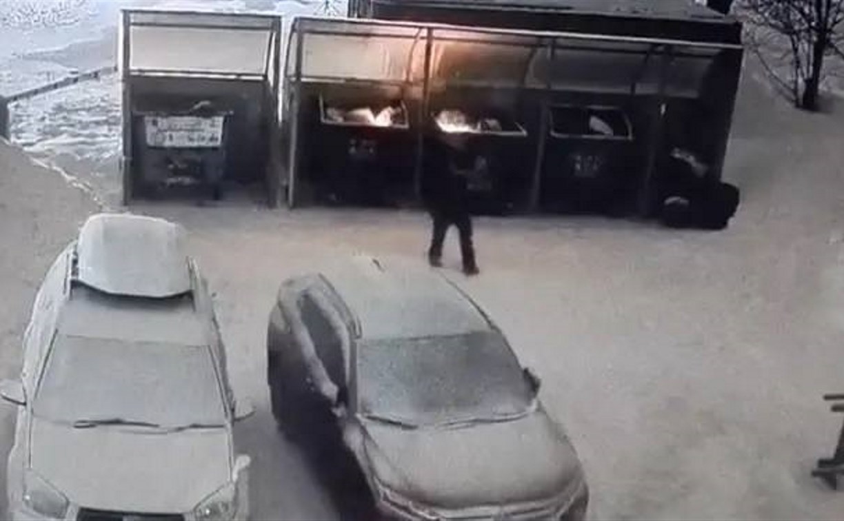 Поджог мусорной площадки в Южно-Сахалинске попал на видео 