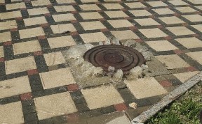 Общество