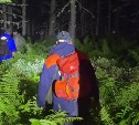 "Маме требуется ваша помощь": сын заблудившейся в лесу пенсионерки обратился к сахалинцам