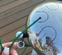Неизвестные сломали палочки для игры на музыкальных инструментах на набережной в Корсакове