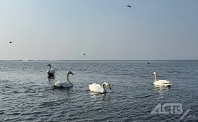 Общество