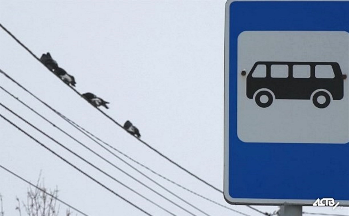 Новые "умные" автобусные павильоны с Wi-Fi и кондиционерами появятся на юге Сахалина