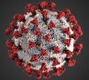 Двадцатый случай коронавирусной инфекции подтвердили на Сахалине 