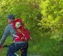 Велосипедист с собакой в рюкзаке тронул сердца сахалинцев