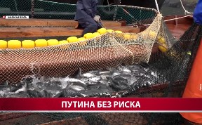 Общество