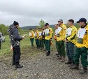 На Сахалине выбирают лучшего лесного пожарного
