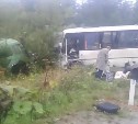 Больше 10 человек пострадали при ДТП в Макаровском районе