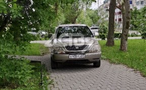 Общество