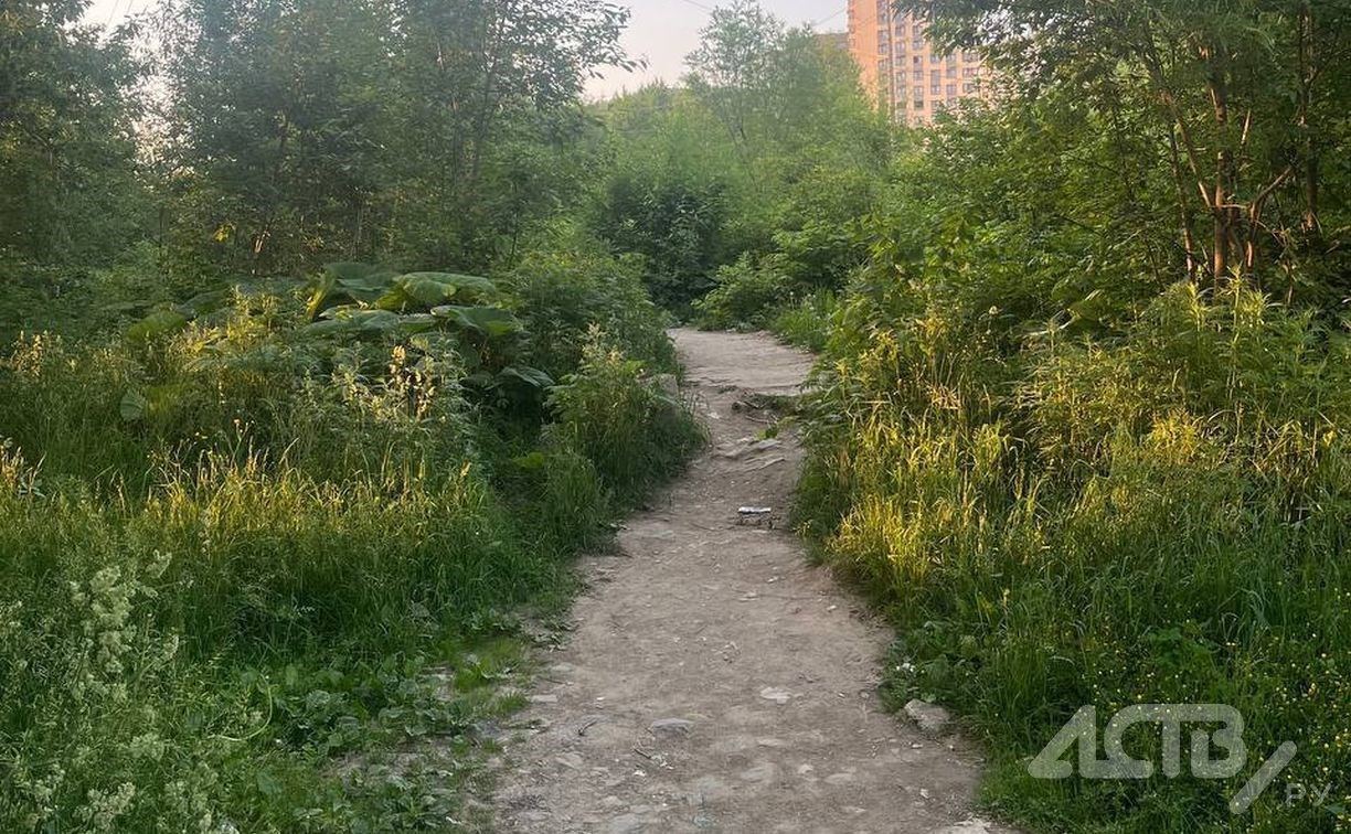 В Южно-Сахалинске неизвестный мужчина пытался увести девочку-подростка с улицы