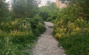 Происшествия