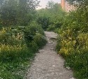 В Южно-Сахалинске неизвестный мужчина пытался увести девочку-подростка с улицы
