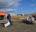 Сахалинские энергетики вывезли 60 мешков мусора с побережья
