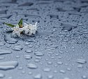 Дождь продолжится на юге Сахалина 15 апреля