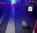  Смертельное ДТП в Южно-Сахалинске: бесправник на внедорожнике сбил пенсионера на "зебре"