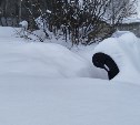 Синоптики рассказали, когда на юге Сахалина закончится снег