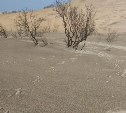 "Северо-Курильск или пустыня?": вулканический пепел запорошил Парамушир