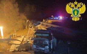 Общество