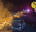 РЖД опровергла слухи о новых правилах для пассажиров после трагедии в Брянской области