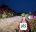 Трое мужчин пострадали в результате ДТП на севере Сахалина