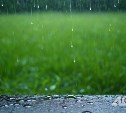 Синоптики рассказали, продолжится ли дождь в Южно-Сахалинске