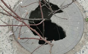 Общество