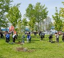 Южно-Сахалинск присоединился к акции "Сад памяти"