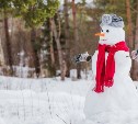 Снегопады и замерзающий туман: какая погода будет в Сахалинской области 30 декабря