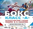 Боксеры с Сахалина завоевали две медали на всероссийском турнире