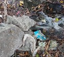 Жильцы дома в Новоалександровке придумали сливать канализационные стоки на берег реки 