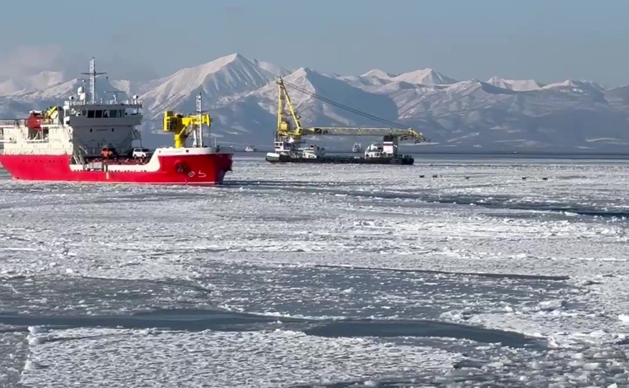 Курильский моряк запечатлел на видео "миграцию" собак по дрейфующему льду Курильский моряк запечатлел на видео "миграцию" собак по дрейфующему льду