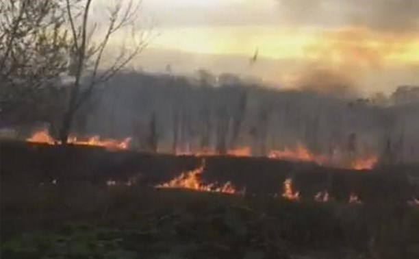 Траву в поле возле южно-сахалинского аэропорта тушили пожарные 