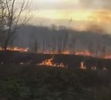 Траву в поле возле южно-сахалинского аэропорта тушили пожарные 