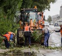 Сахалинские власти: завалы с дорог после тайфуна расчистят к полуночи 