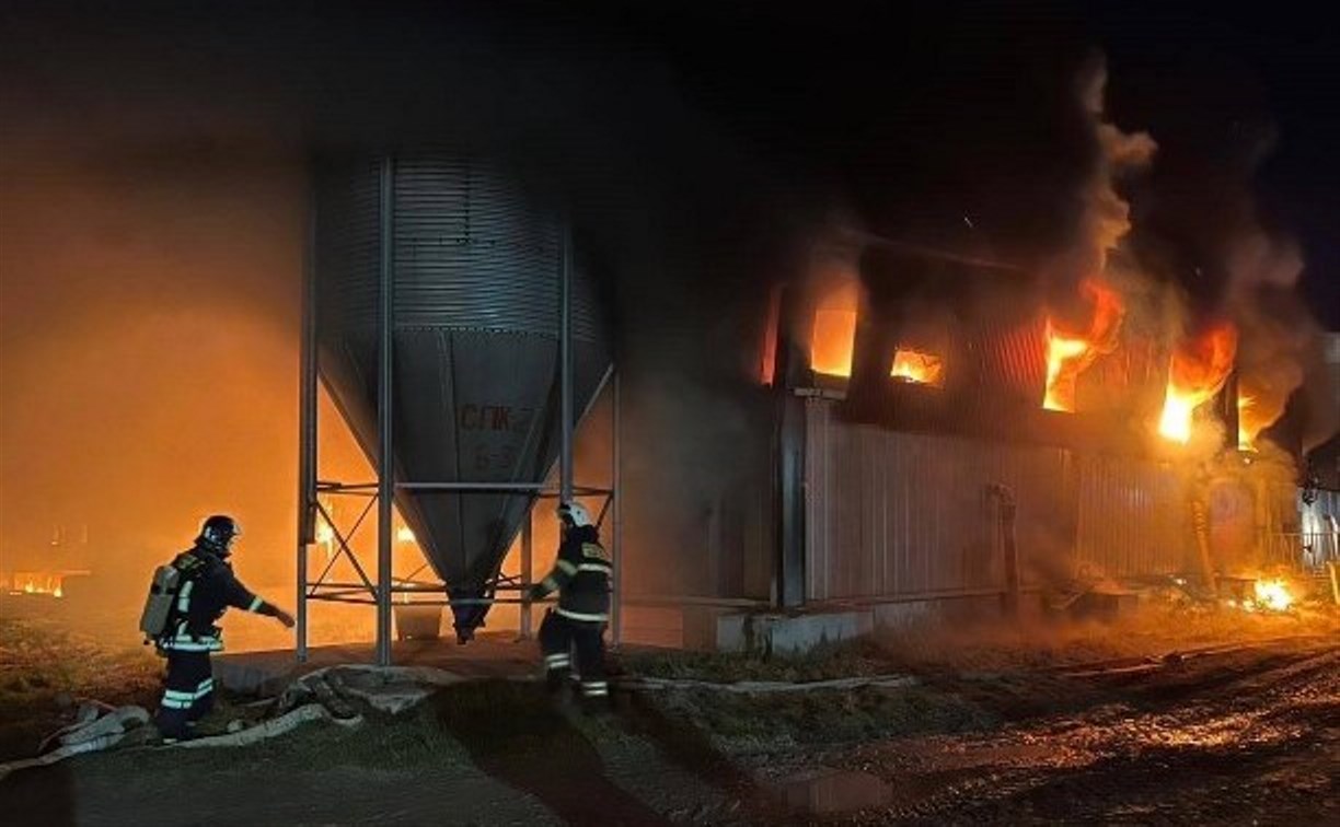 Прокуратура взяла на контроль ситуацию, связанную с пожаром на свинокомплексе в Анивском районе