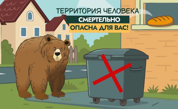 "Территория человека смертельно опасна": общественники сделали забавный ролик от лица медведей