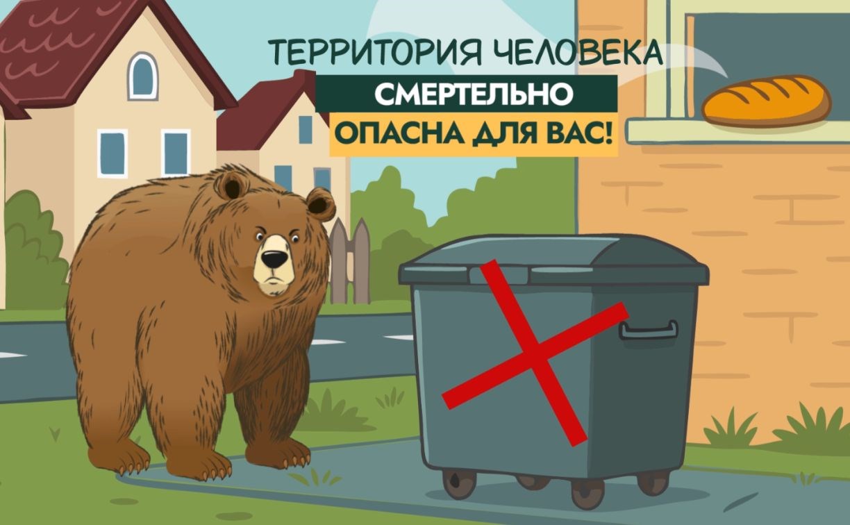 "Территория человека смертельно опасна": общественники сделали забавный ролик от лица медведей