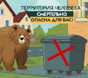 "Территория человека смертельно опасна": общественники сделали забавный ролик от лица медведей