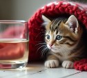 Без отопления и воды останутся некоторые южносахалинцы 22 мая