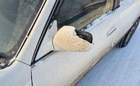 Общество