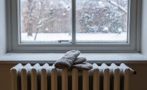 Происшествия