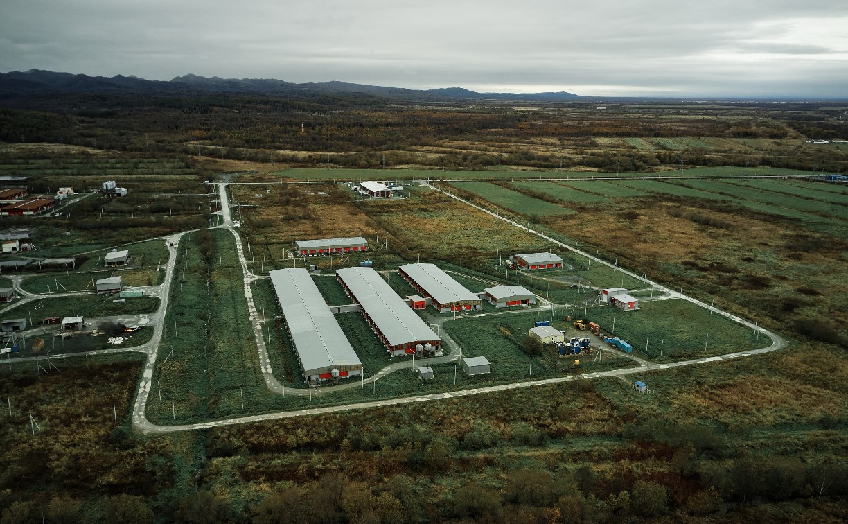 За десять лет ТОР "Сахалин" стала центром туризма, рекреации и сельского хозяйства