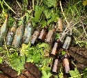 Полная бутылка саке и три ботинка: поисковики рассказали об интересных находках на Шумшу