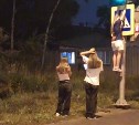 "Новый тренд в TikTok?": висящая на дорожном знаке девочка удивила южносахалинцев