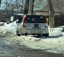 Во Владимировке собака почти две недели заперта в брошенной машине 