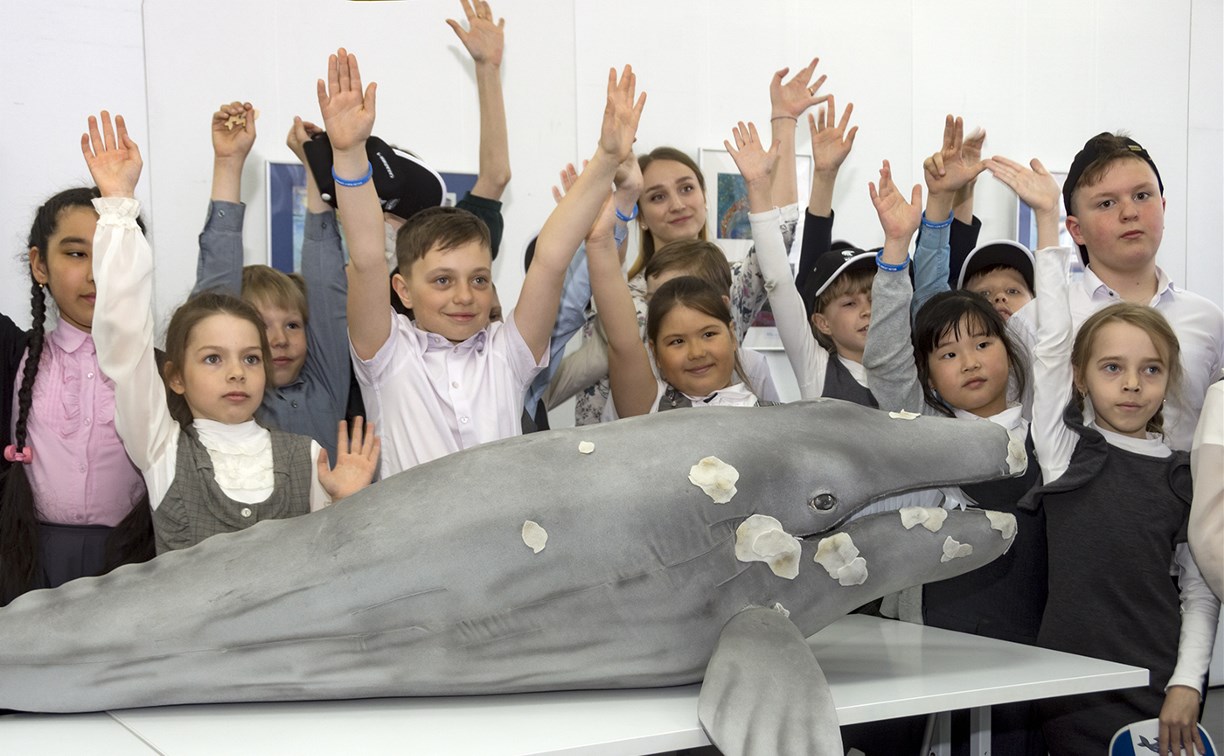 Увидеть сахалинских китов детскими глазами можно на выставке «Имя кита»