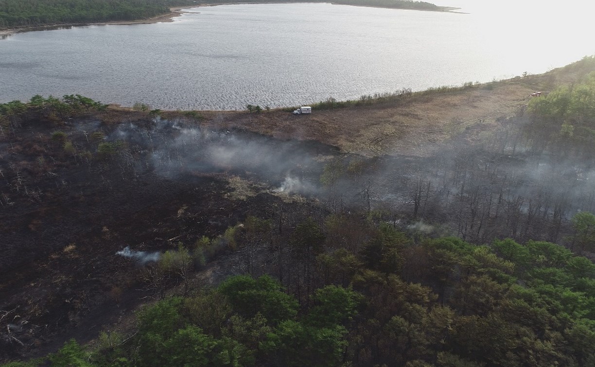 Из-за любителей шашлыка в Корсаковском районе вспыхнул лес