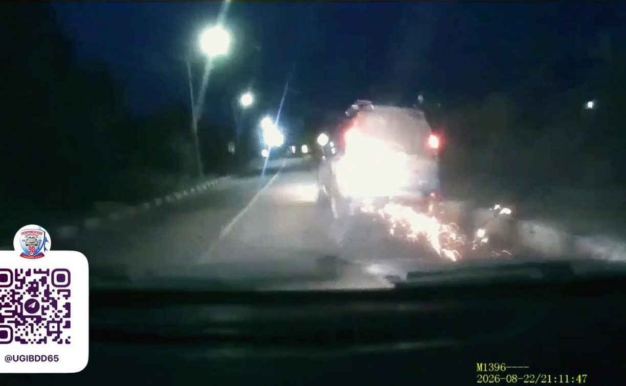 Полицейская погоня со стрельбой на Сахалине закончилась задержанием пьяного водителя