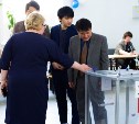 Делегация из Республики Кореи удивилась прозрачным урнам на выборах президента РФ в Южно-Сахалинске